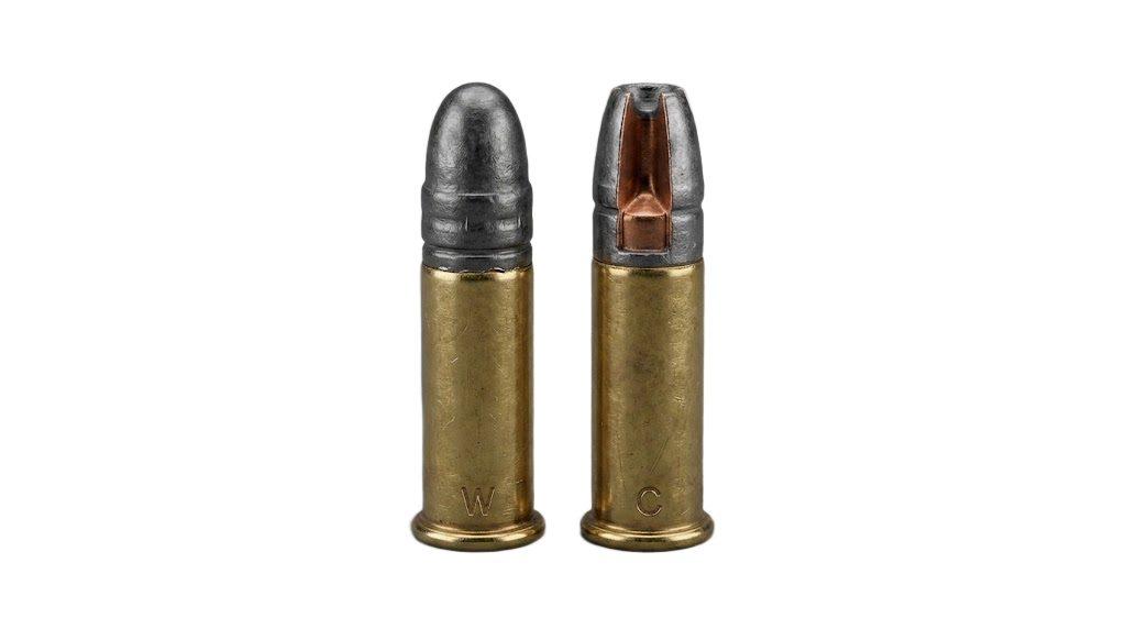 .22 LR